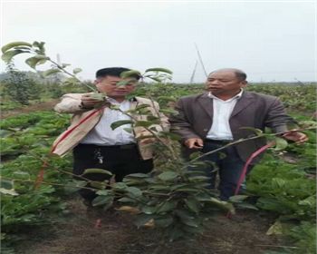 金土地產(chǎn)品品質(zhì)，我們非常認(rèn)可