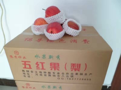 安徽梨樹苗批發(fā)