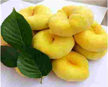 現(xiàn)在在網(wǎng)上買到的果樹苗容易成活嗎？